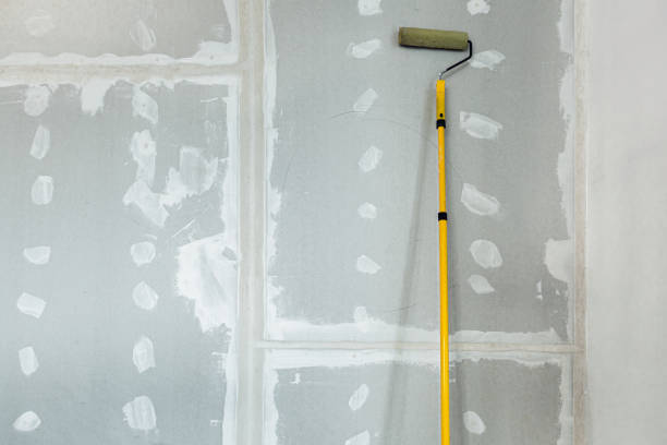 Best Mold Documentation for Insurance Claims  in Washington, WV