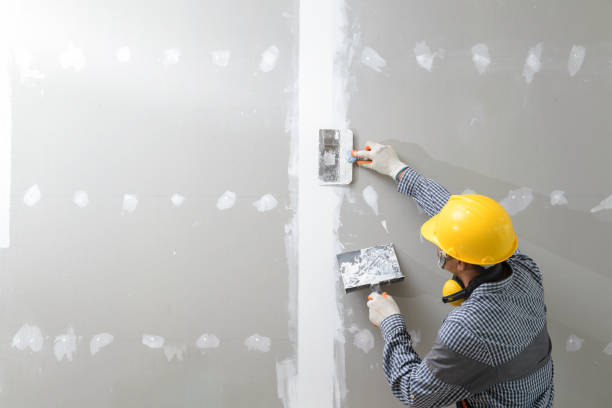 Best Forensic Mold Investigation  in Washington, WV