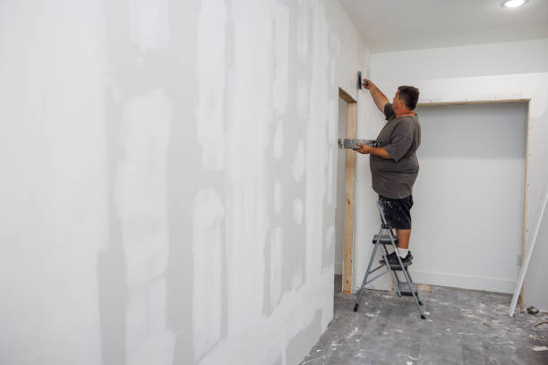 Best Water Damage & Mold Remediation  in Washington, WV