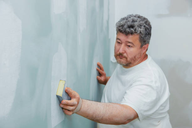 Best Environmental Consulting for Mold Prevention  in Washington, WV