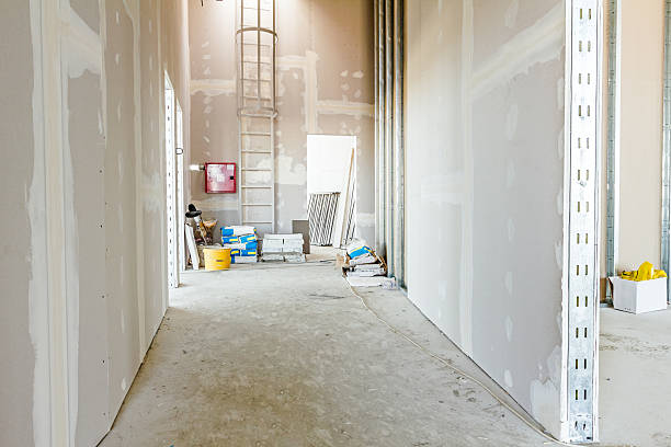 Best Dehumidification Services  in Washington, WV