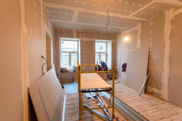 Best Mold Odor Removal Services  in Washington, WV